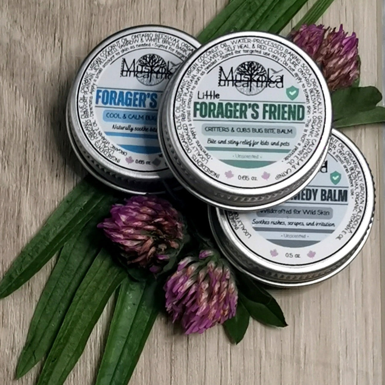 Forager’s Rescue Kit - Family Pack