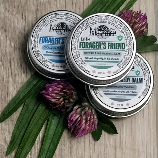 Forager’s Rescue Kit - Family Pack