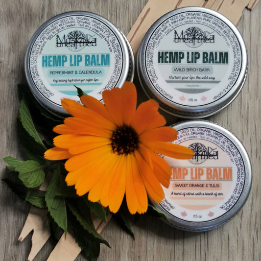 Hemp Lip Balm Variety Pack - 3 Pack