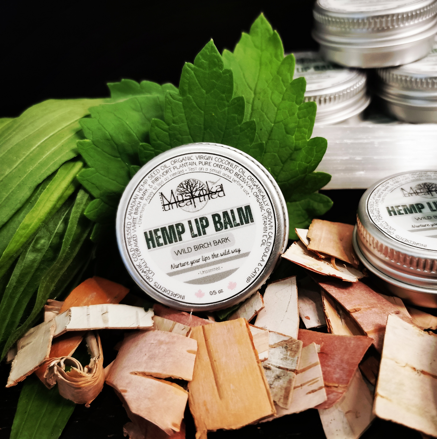 Wild Birch Bark - Hemp Lip Balm - 0.5oz
