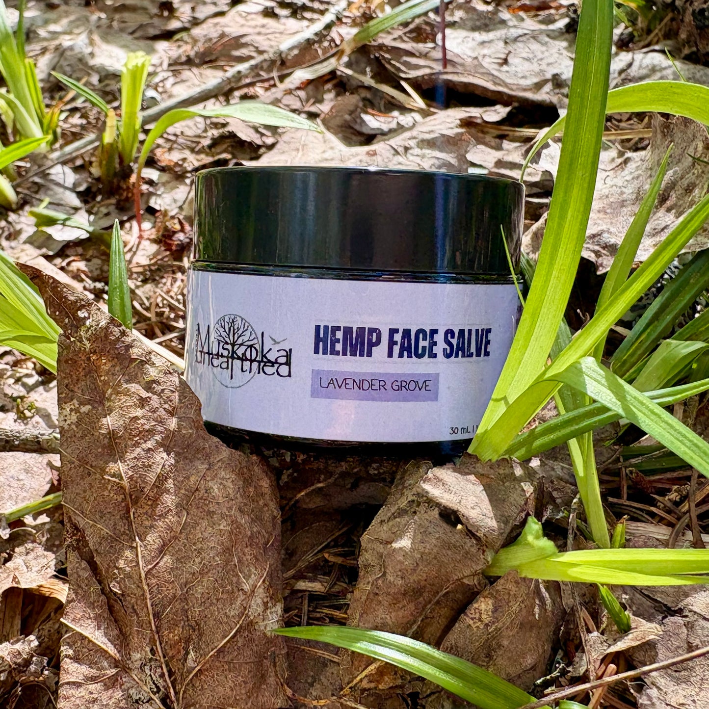 Lavender Grove - Hemp Face Salve