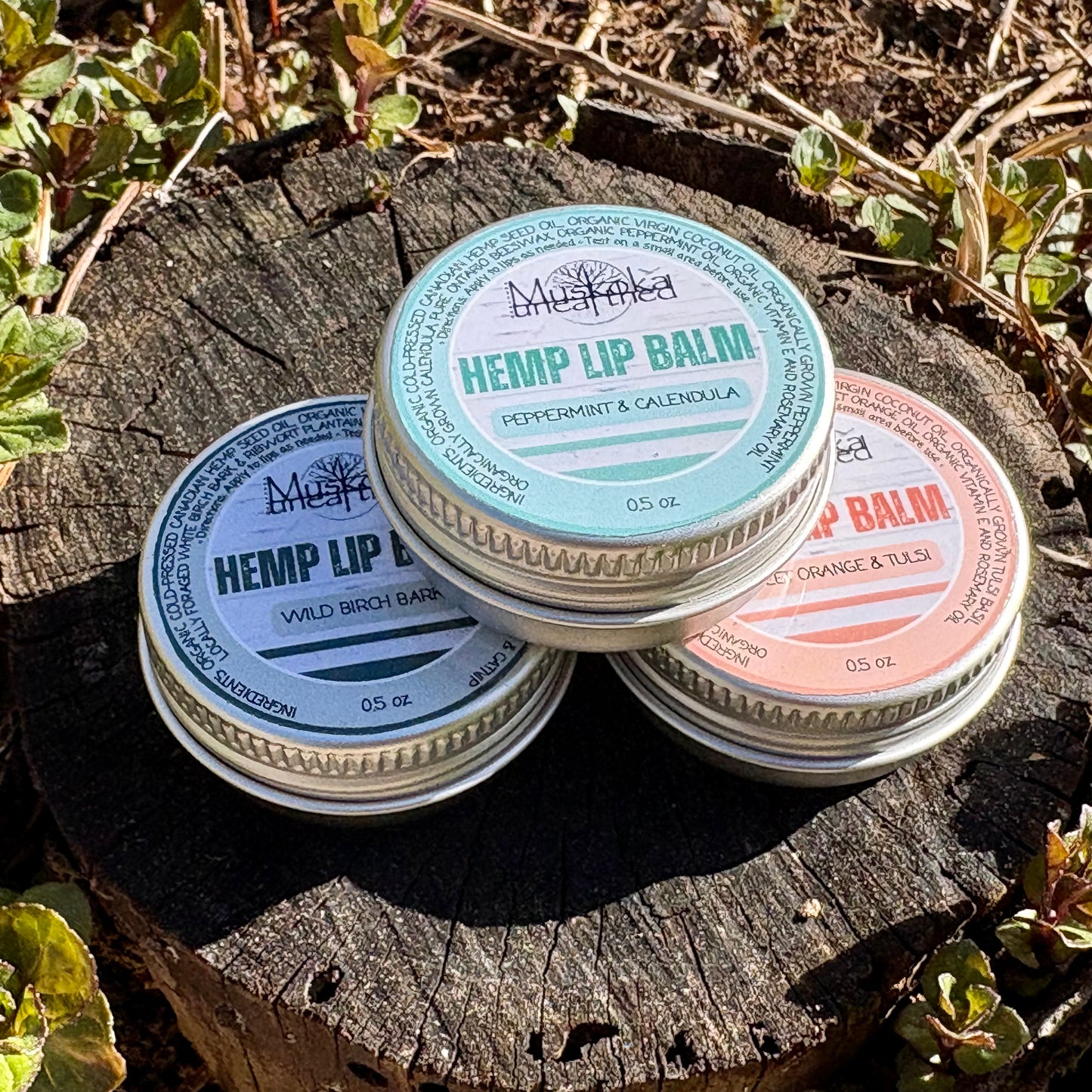 Hemp Lip Balm Variety Pack - 3 Pack