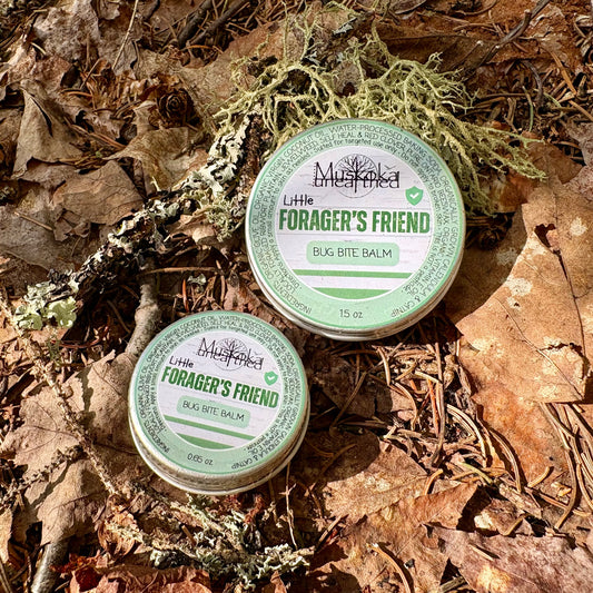 Little Forager’s Friend - Bug Bite Balm